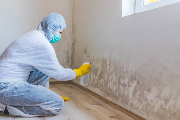 Mold Remediation specialist working in Winchester